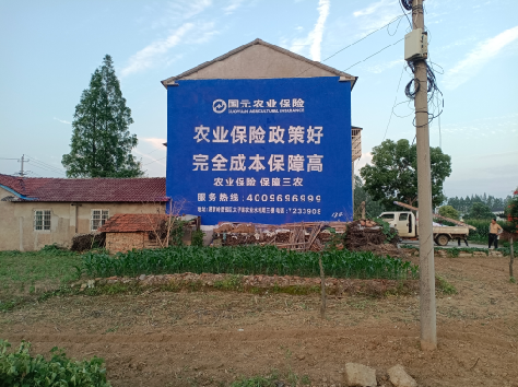  石狮墙体广告为何受追捧？