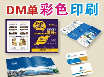  石狮单页印刷，色彩搭配简单。